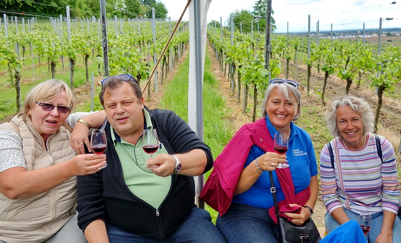 Mehr über den Artikel erfahren Weinwanderung